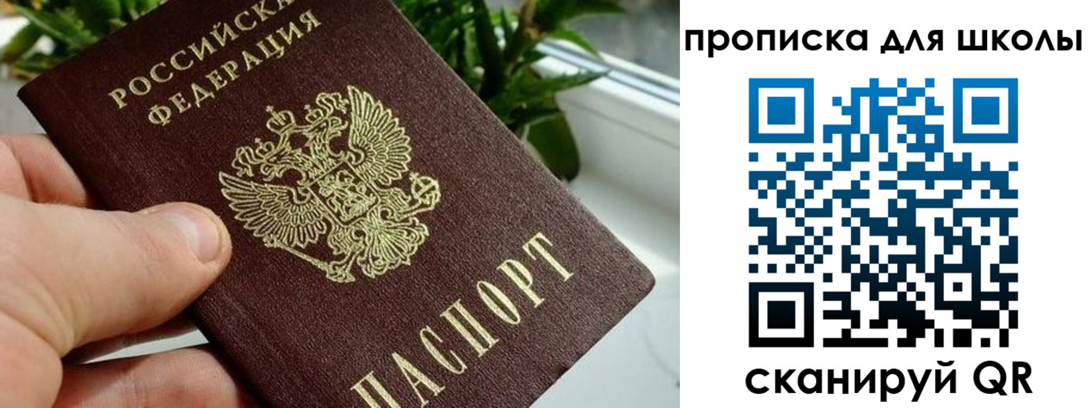 регистрация для дет. сада в Ржеве